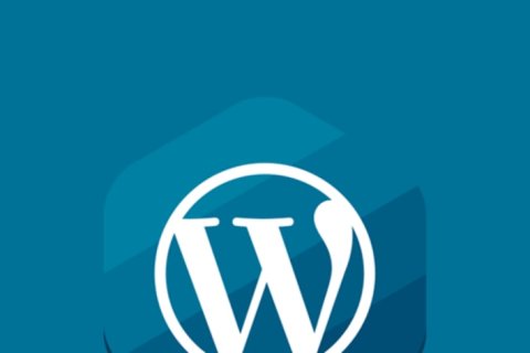 WordPress 5.9 对文章、文章类型和分类法的更改